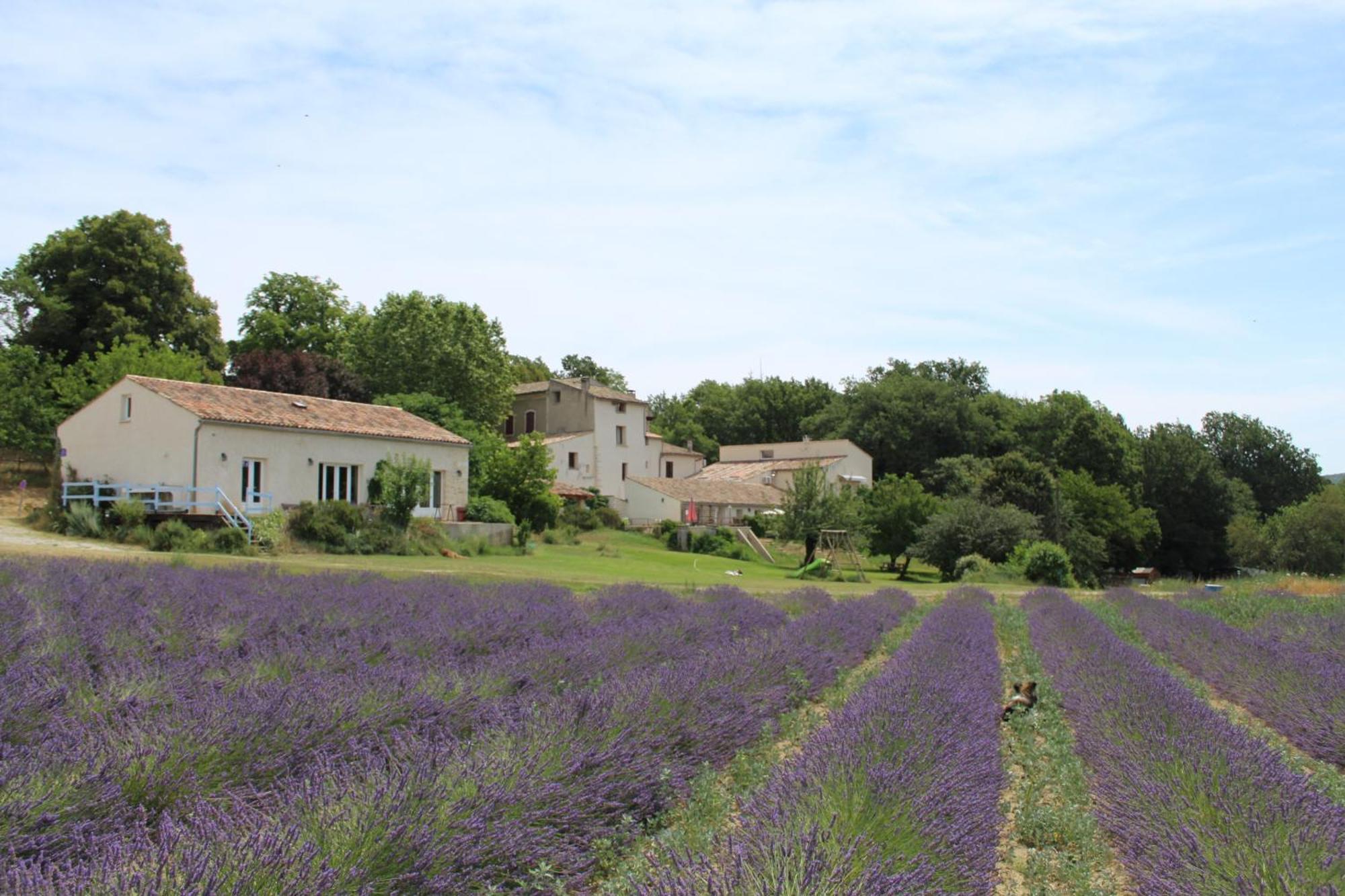 Les Anes De Forcalquier Hotel Exterior foto