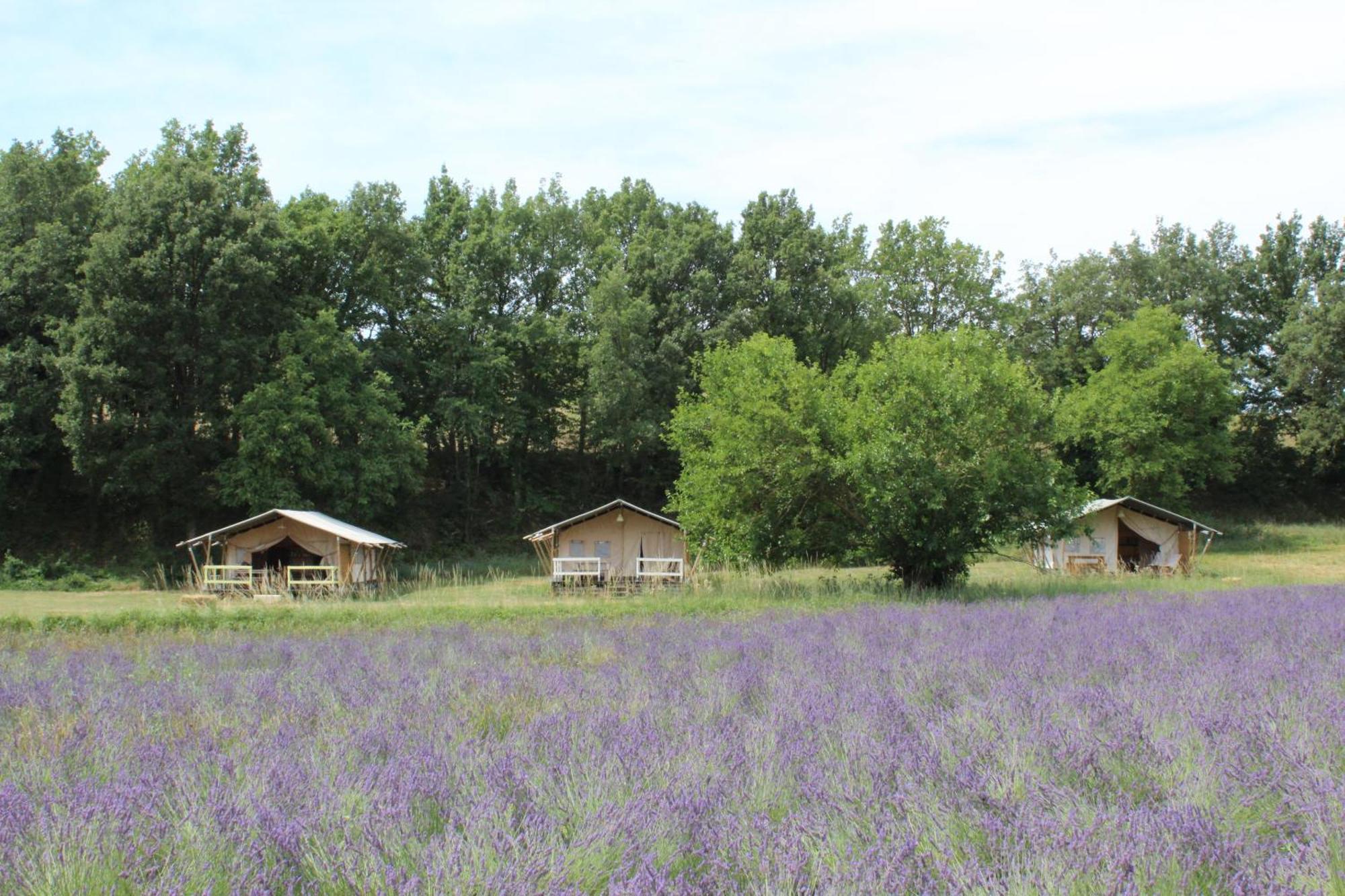 Les Anes De Forcalquier Hotel Exterior foto