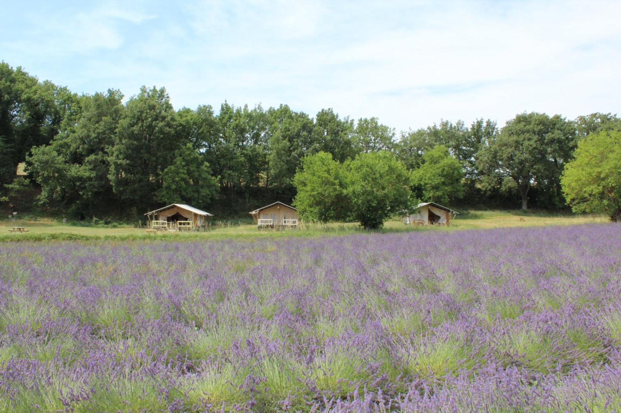 Les Anes De Forcalquier Hotel Exterior foto