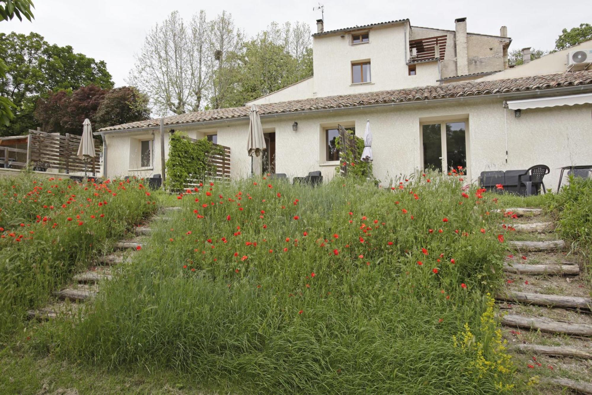 Les Anes De Forcalquier Hotel Cameră foto