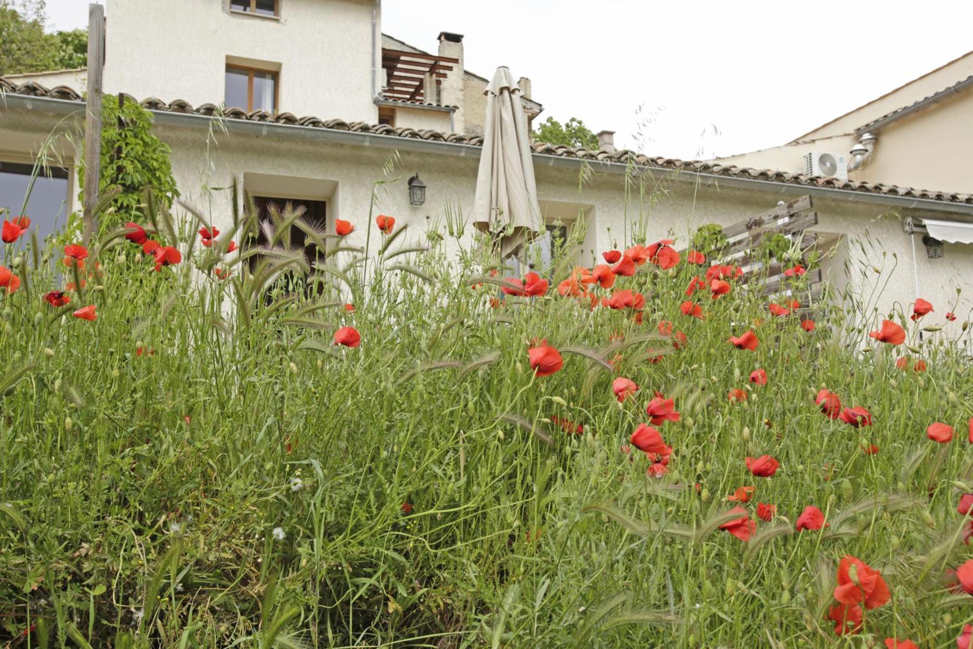 Les Anes De Forcalquier Hotel Cameră foto